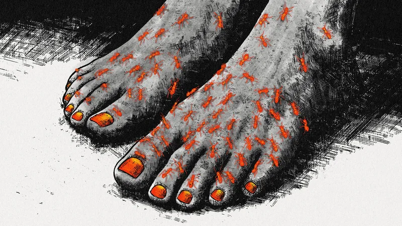 The Uninvited Guests – illustration of bare feet covered in red insects, MS Art series